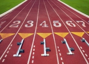 PG世界杯2026-九十分钟的生死时速，2026世界杯F组绝杀之夜，法国、喀麦隆与卢卡库的命运交织