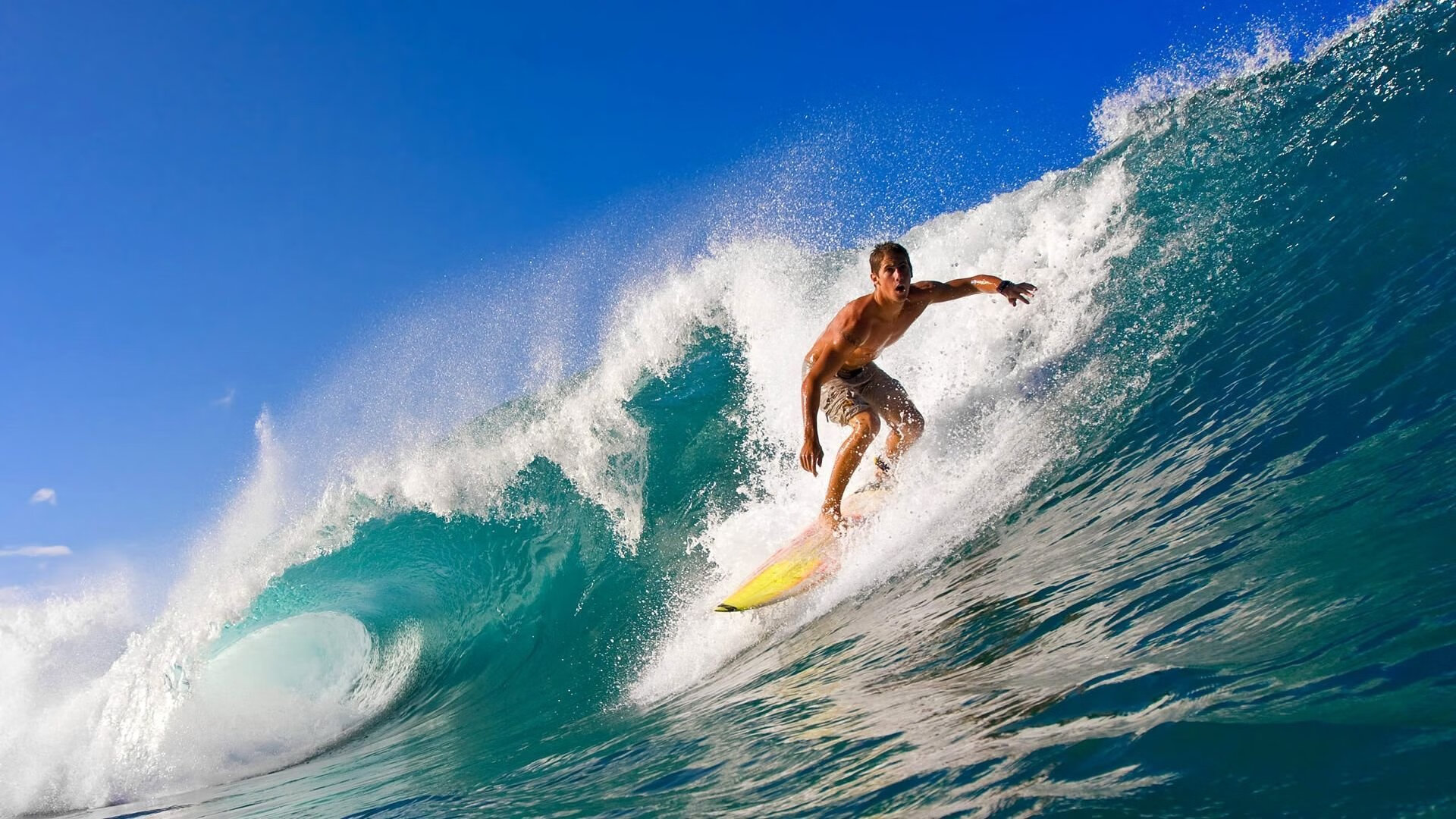 蒙特卡洛红土见证王者归来，蒂姆关键制胜，轻取拉沃尔杯荣耀